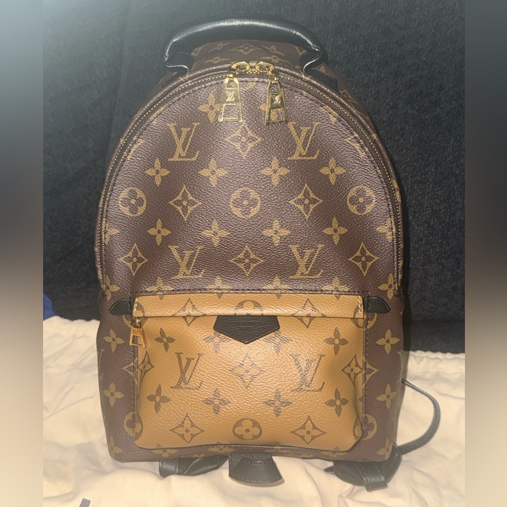Louis Vuitton Reverse Monogram Palm Springs Backpack PM.